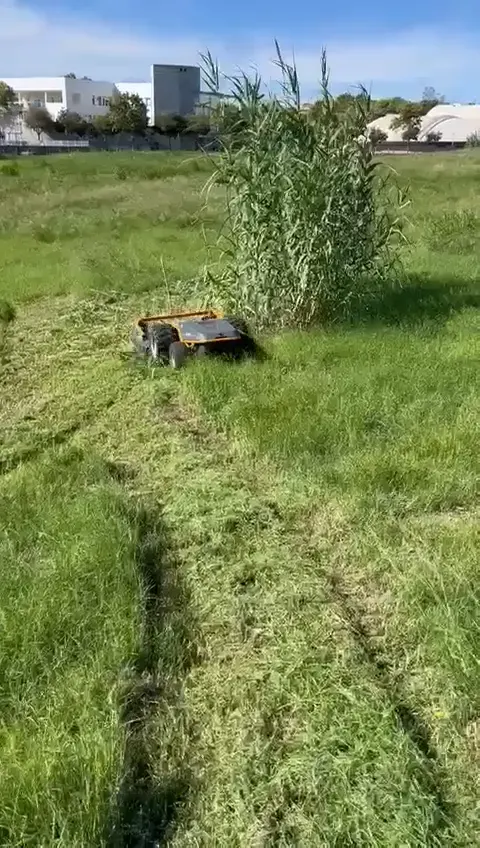 Desbrozadora dejando una franja cortada en hierba alta